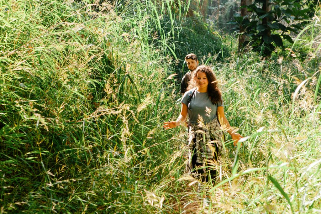 Young content couple of tourists strolling between lush grass in green forest in back lit